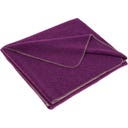 Steiner 1888 Coperta Alina