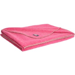 Steiner 1888 Coperta Alina