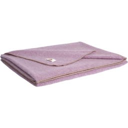 Steiner 1888 Coperta Alina