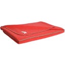Steiner 1888 Coperta Alina