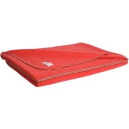 Steiner 1888 Coperta Alina