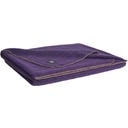 Steiner 1888 Coperta Alina
