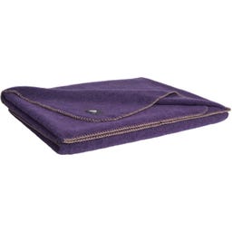 Steiner 1888 Coperta Alina