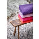 Steiner 1888 Coperta Alina