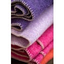 Steiner 1888 Coperta Alina