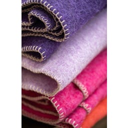 Steiner 1888 Coperta Alina