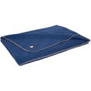 Steiner 1888 Coperta Alina