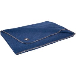 Steiner 1888 Coperta Alina