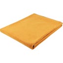 Steiner 1888 Coperta Alina