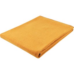 Steiner 1888 Coperta Alina