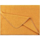 Steiner 1888 Coperta Alina