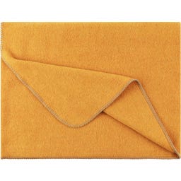 Steiner 1888 Coperta Alina