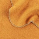 Steiner 1888 Coperta Alina