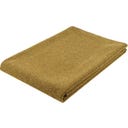 Steiner 1888 Coperta Alina