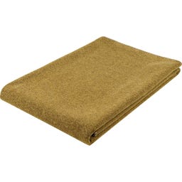 Steiner 1888 Coperta Alina