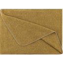 Steiner 1888 Coperta Alina
