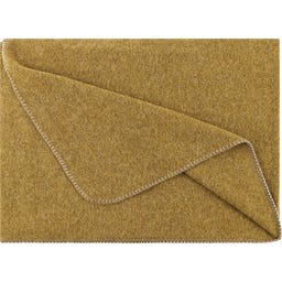 Steiner 1888 Coperta Alina