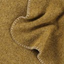 Steiner 1888 Coperta Alina