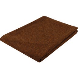Steiner 1888 Coperta Alina