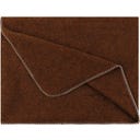Steiner 1888 Coperta Alina