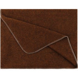 Steiner 1888 Coperta Alina
