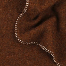 Steiner 1888 Coperta Alina