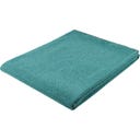 Steiner 1888 Coperta Alina
