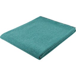 Steiner 1888 Coperta Alina