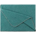 Steiner 1888 Coperta Alina
