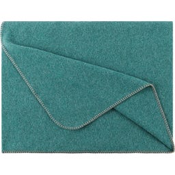 Steiner 1888 Coperta Alina
