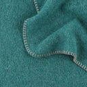 Steiner 1888 Coperta Alina