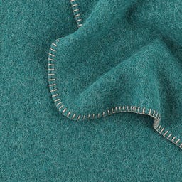 Steiner 1888 Coperta Alina
