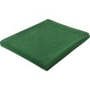 Steiner 1888 Coperta Alina