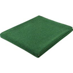 Steiner 1888 Coperta Alina