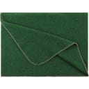 Steiner 1888 Coperta Alina
