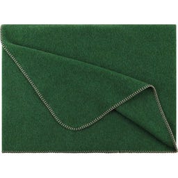 Steiner 1888 Coperta Alina
