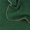 Steiner 1888 Coperta Alina
