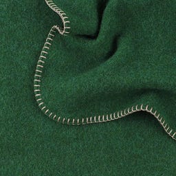 Steiner 1888 Coperta Alina
