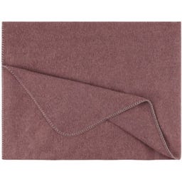 Steiner 1888 Coperta Alina