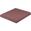 Steiner 1888 Coperta Alina