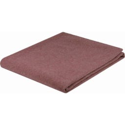 Steiner 1888 Coperta Alina