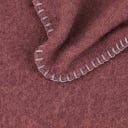 Steiner 1888 Coperta Alina