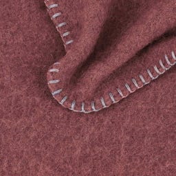 Steiner 1888 Coperta Alina