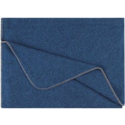 Steiner 1888 Coperta Alina