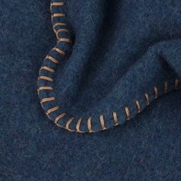 Steiner 1888 Coperta Alina