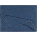 Steiner 1888 Coperta Alina