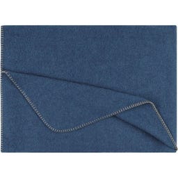 Steiner 1888 Coperta Alina