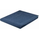 Steiner 1888 Coperta Alina