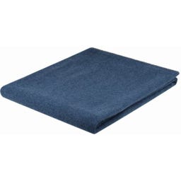 Steiner 1888 Coperta Alina