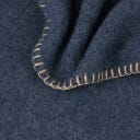 Steiner 1888 Coperta Alina